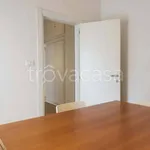 Rent 3 bedroom apartment of 100 m² in Firenze