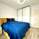 Rent 2 bedroom apartment of 55 m² in Szczecin