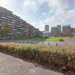 Rent 3 bedroom apartment of 90 m² in Kop van Zuid - Entrepot