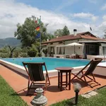 Rent 6 bedroom house of 350 m² in forte dei marmi