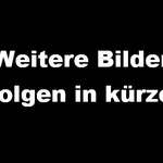 Gehobene Ausstattung - Neuwertige 3-Zimmer Wohnung zu vermieten