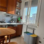 Rent 3 bedroom house of 100 m² in Pisa