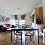 Rent 1 bedroom apartment of 45 m² in Monza