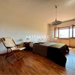 Rent 5 bedroom house of 150 m² in Pietrasanta