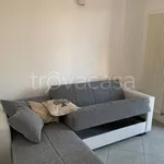 Rent 6 bedroom apartment of 110 m² in Riccione