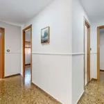 Rent a room in valencia