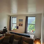 Rent 1 bedroom apartment in New York