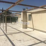 Rent 1 bedroom apartment of 55 m² in Community of Filothei