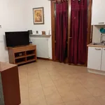 Rent 1 bedroom apartment of 45 m² in Bologna