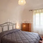 Rent 1 bedroom apartment of 75 m² in Volterra