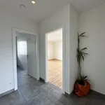 Rent 2 bedroom apartment of 50 m² in Graz