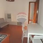 Rent 2 bedroom apartment of 45 m² in Palermo