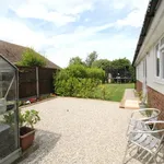 Bungalow to rent in Colewood Road, Whitstable CT5