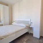 Rent 4 bedroom apartment of 82 m² in Camaiore