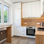 Rent 3 bedroom apartment of 62 m² in Velké Meziříčí