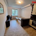 Rent 2 bedroom apartment of 35 m² in Zlín