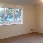 Rent 3 bedroom apartment in Mt Maunganui