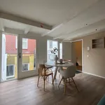 Rent 2 bedroom apartment of 55 m² in Hortusbuurt-Ebbingekwartier