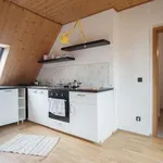 Rent 1 bedroom apartment of 59 m² in berlin