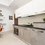 Rent 1 bedroom apartment in Milan