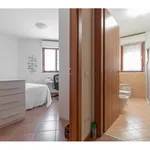 Rent 2 bedroom apartment of 68 m² in Milano