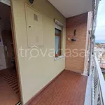 Rent 3 bedroom apartment of 70 m² in Settimo Torinese