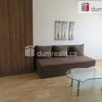 Rent 1 bedroom apartment of 40 m² in Zlín