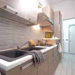 Rent 1 bedroom apartment in Milano