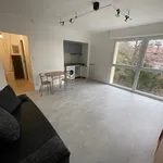 Appartement de 28 m² avec 1 chambre(s) en location à WISSEMBOURG