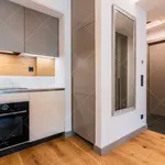 Rent 1 bedroom apartment of 52 m² in Budapest