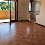 Rent 2 bedroom apartment of 56 m² in Roma