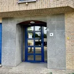 Rent 1 bedroom apartment in HEVERLEE