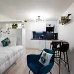 Rent 1 bedroom apartment of 25 m² in Lyon