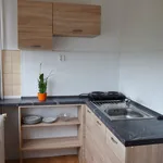 Rent 1 bedroom apartment of 27 m² in Hradec Králové