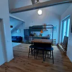 Miete 2 Schlafzimmer wohnung von 56 m² in Leipzig