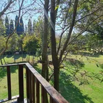 Rent 1 bedroom apartment of 50 m² in Gauteng