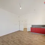 Rent 1 bedroom apartment of 33 m² in Studeněves