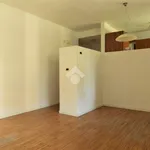 Rent 2 bedroom apartment of 60 m² in Vicenza