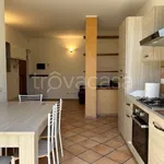 Rent 3 bedroom apartment of 90 m² in Segrate