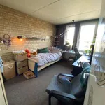 Rent 1 bedroom apartment in Leuven