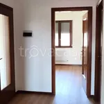 Rent 4 bedroom apartment of 95 m² in Treviso