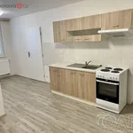 Rent 2 bedroom apartment of 62 m² in Ivanovice na Hané