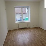 Pronajměte si 2 ložnic/e byt o rozloze 41 m² v Brno