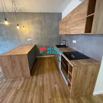 Rent 1 bedroom apartment in Ostrava