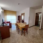 Rent 2 bedroom apartment of 48 m² in Pomezia