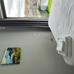 Rent 1 bedroom house in Dublin