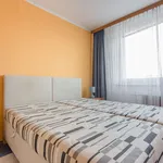 Rent 2 bedroom apartment of 53 m² in Modřice