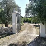 Affitto 4 camera appartamento di 250 m² in Ostuni