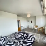 Rent 3 bedroom apartment of 130 m² in Prague