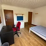 Rent 5 bedroom flat in Norwich